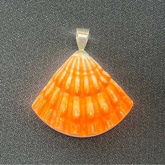 Jay King Lion’s Paw Shell & Turquoise Pendant - Picture 2 of 10